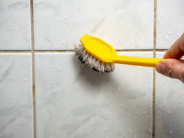 Best Commercial Mold Remediation in Malverne, NY